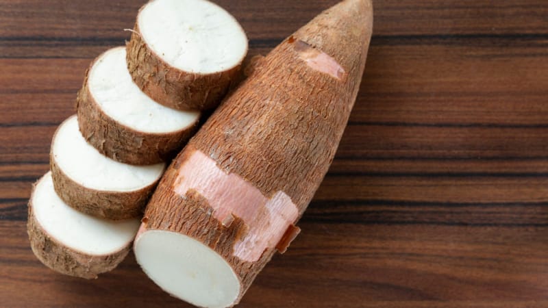 Maniok jadalny 